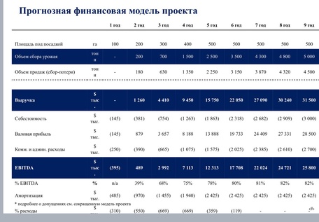 ПОДМОСКОВНЫЙ ЯГОДНЫЙ ГЕКТАР
доходность 20-40%